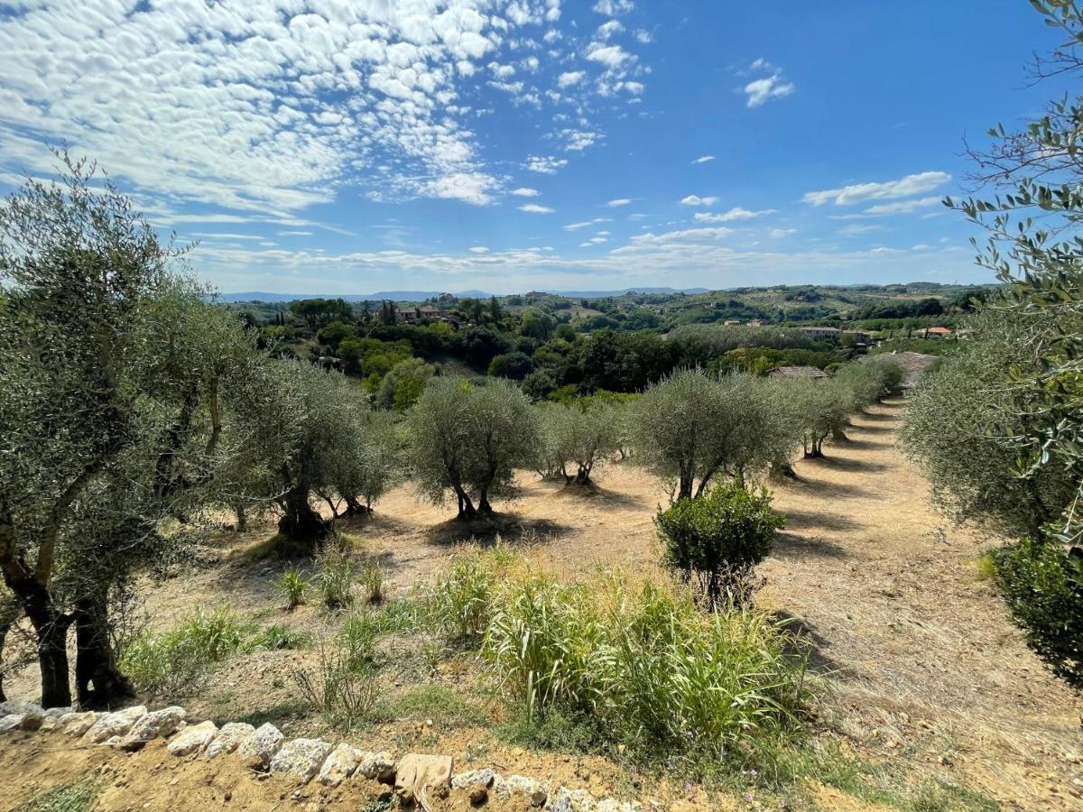 Oliveta Del Verde Appartamento Con Grande Giardino 500Mt Dal Centro 锡耶纳 外观 照片